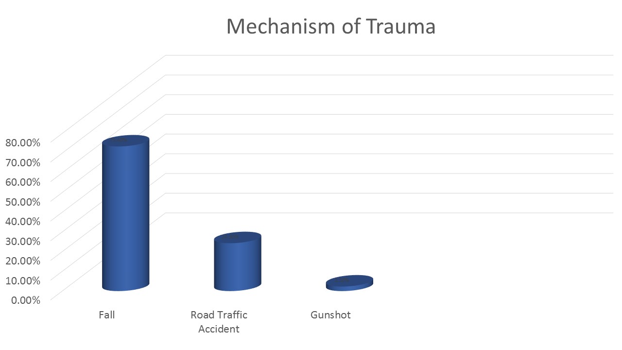 Distribution of 90 patients with intertrochanteric fracture by mechanism of trauma.