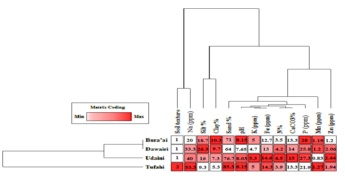 Cluster analysis illustrates the relationship among the four C. arabica L. cultivars based on 13 plantation soil characters (4 Physical and 11 chemical characters) by using the Two-Way Cluster Analysis (TWCA) - Group average linkage method.