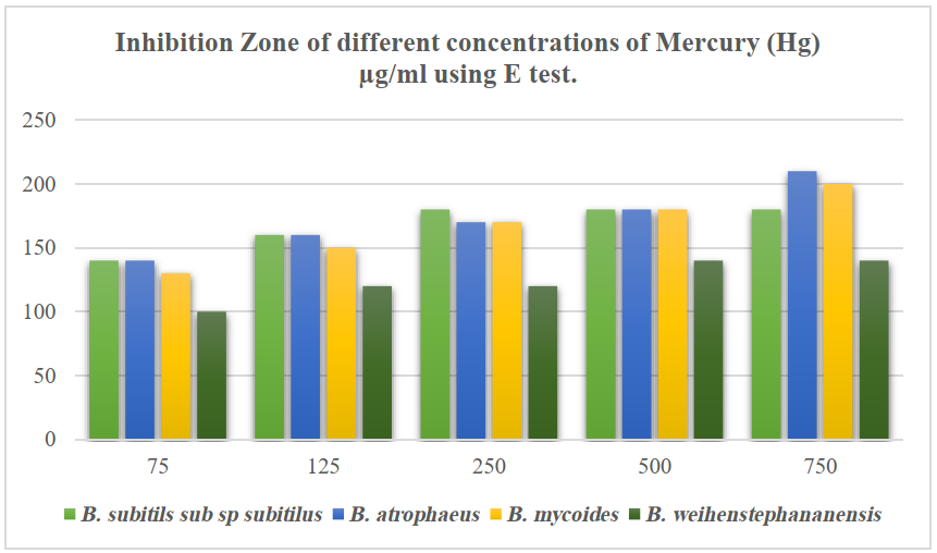  Effect of Mercury (Hg) on the growth of Bacillus spp.