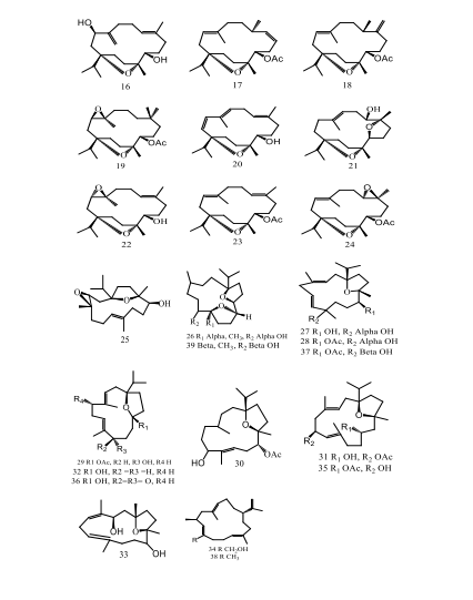 The structures of isolated diterpenoids from B. sacra according [55]