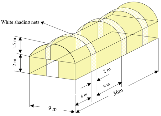 Schematic diagram of the experimental greenhouse, showing ventilation openings along the structure, covered with white shading nets