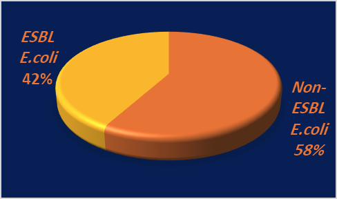 Prevalence of ESBL Production among Uropathogenic E. coli (UPEC) isolates (n=155).