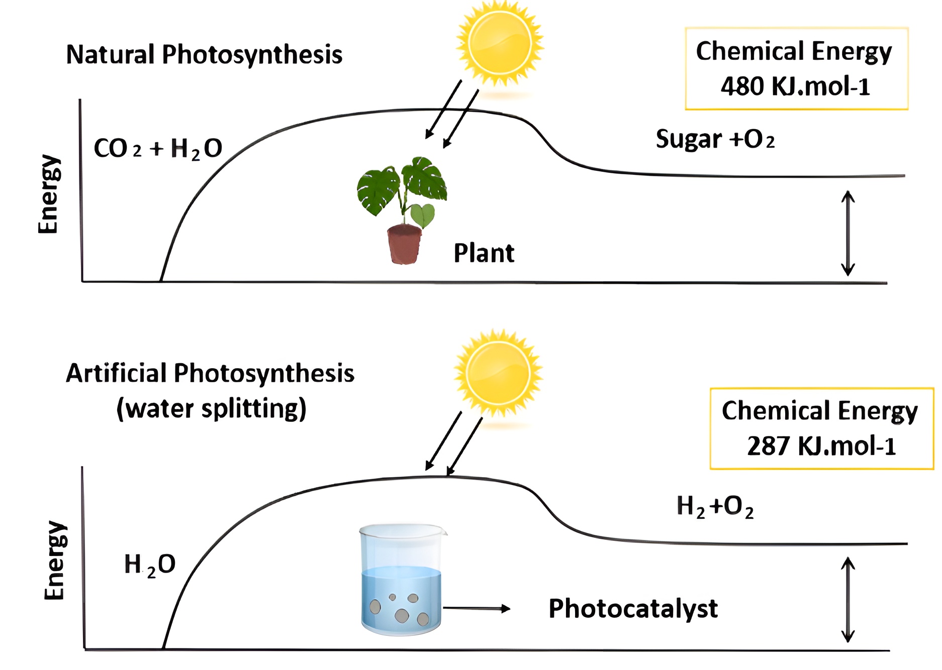 Natural Photosynthesis vs Artificial Photosynthesis