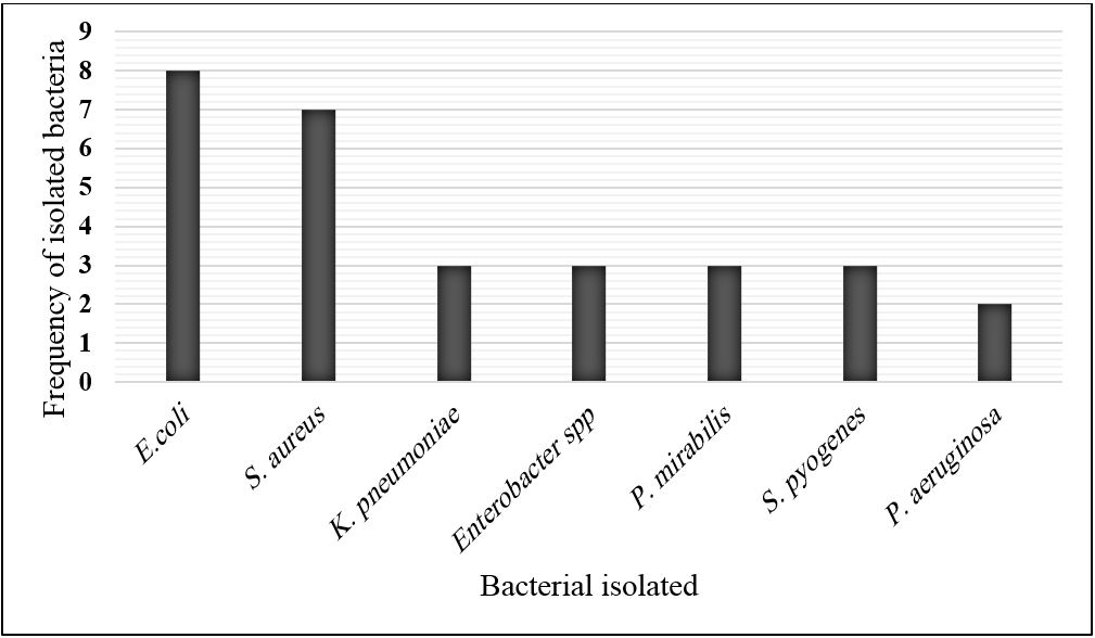  Spectrum of Bacterial Isolates (N =29) among Bacterial Infection of Vagina Patients
