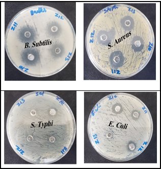 Antibacterial activity of ZnO-NPs against different bacterial types