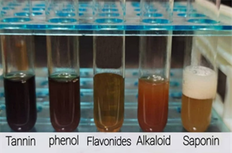  Colorimetric detection of leaf aqueous extract of Tribulus terrestris.