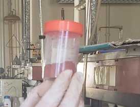 سماد الحديد النانوي المحضر