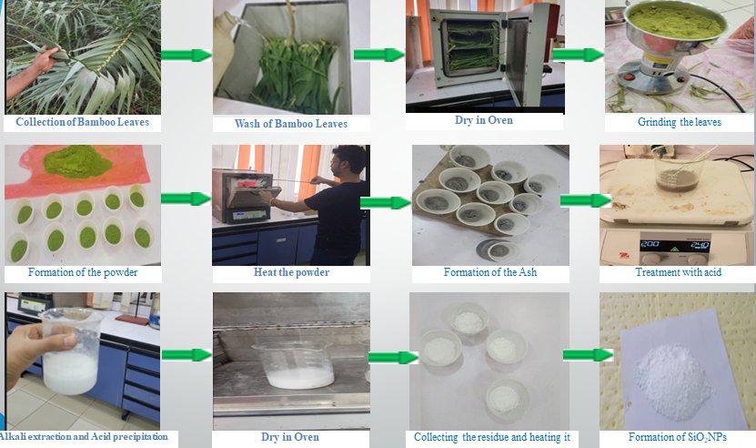 Green Synthesis of Silica dioxide Nanoparticles from Bamboo leaves ash.