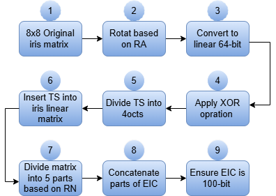 Stages of Iris Encoding Process